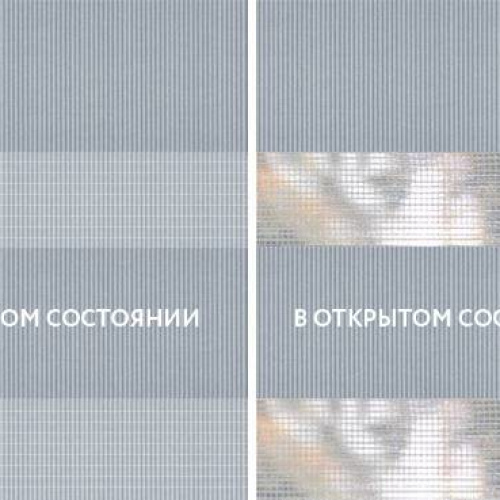 Бэйсик дымчатый