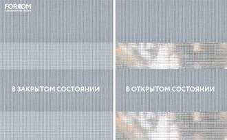 Бэйсик дымчатый